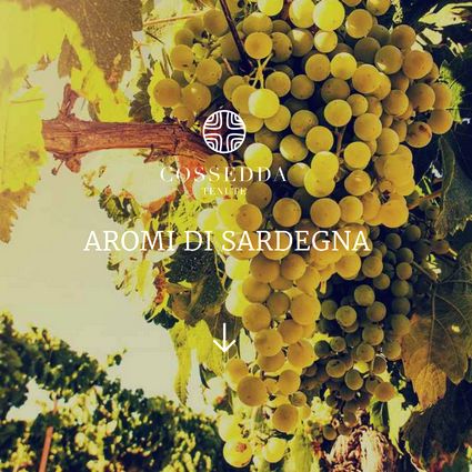 Sito web Tenute Cossedda - cantina vinicola in Sardegna